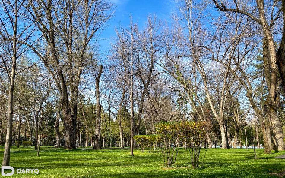 O‘zbekistonda “Toza havo” umummilliy loyihasi ishga tushiriladi
